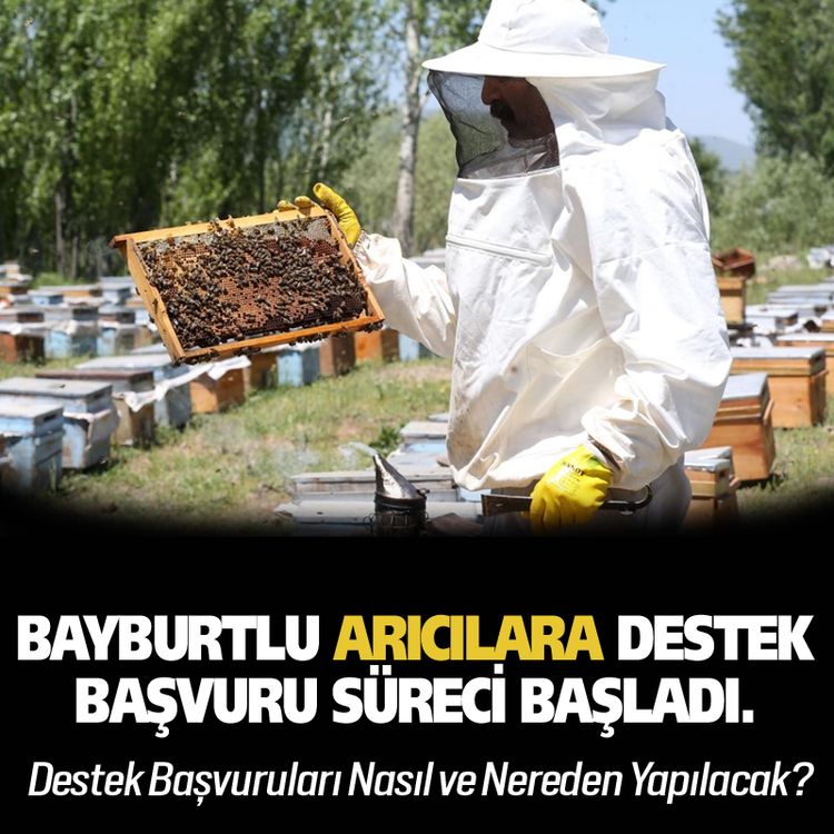 Bayburtlu arıcılara destek haberi! Başvuru süreci başladı.