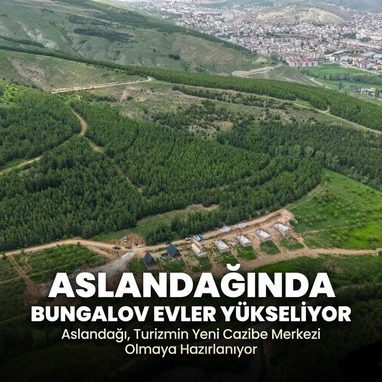 Aslan dağında Bungalov evler yükseliyor