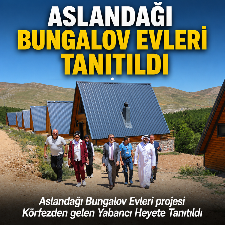 Aslandağı Bungalov Evleri Projesi Yabancı Heyete Tanıtıldı
