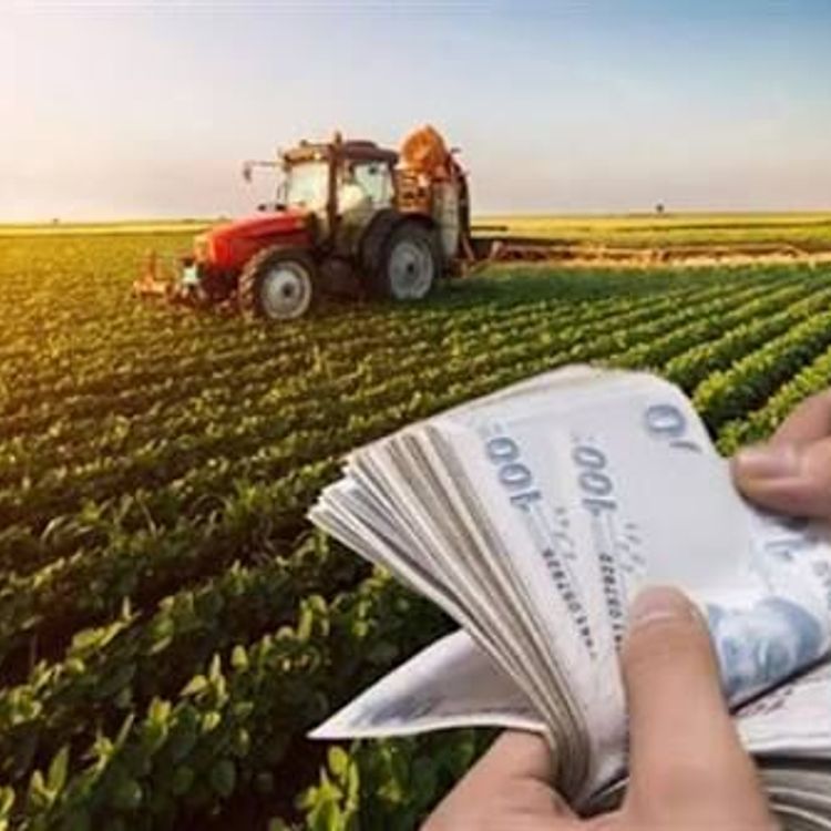 Bayburt'ta 221 Projeye 100 Milyona Yakın Hibe