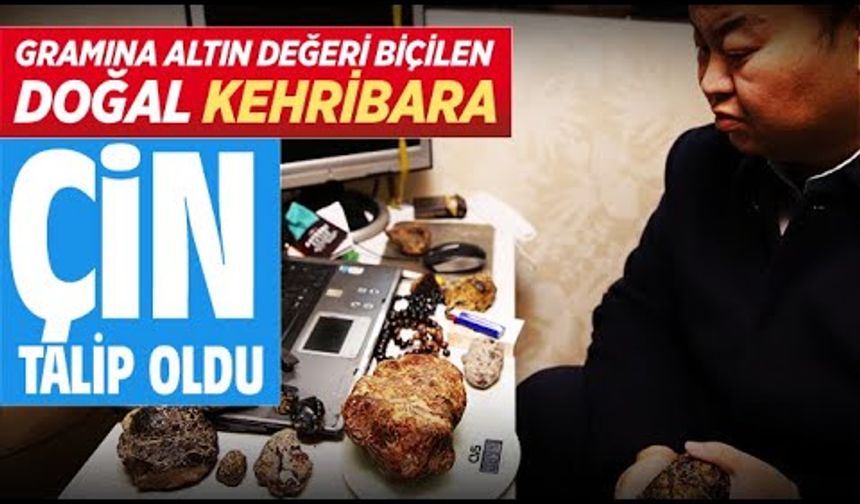 GRAMINA ALTIN DEĞERİ BİÇİLEN DOĞAL KEHRİBARA ÇİN TALİP OLDU