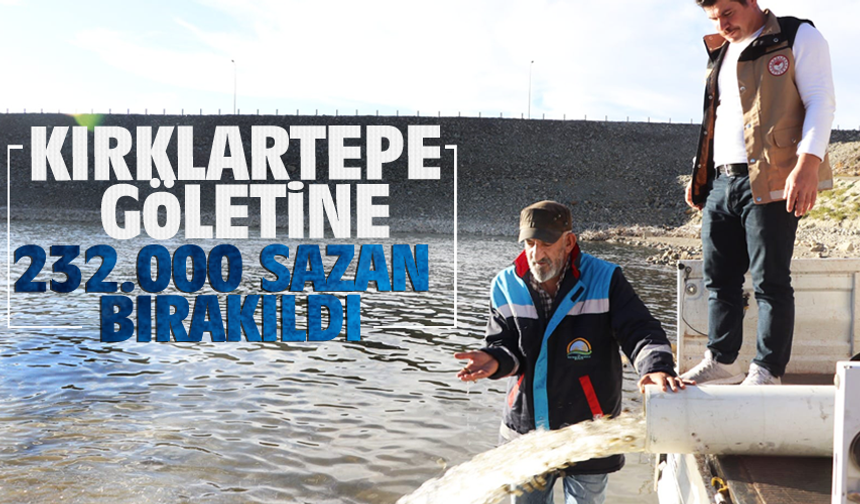 Bayburt İl Tarım Müdürlüğü  göletlere sazan balığı bırakıyor