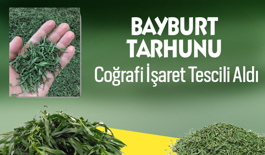 Bayburt Tarhunu Coğrafi İşaret Tescili Aldı