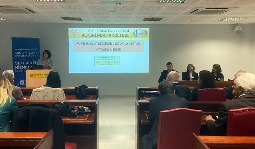 Bursa'da 'iklimsel' vektörel kaynaklı hastalıklar ele alındı