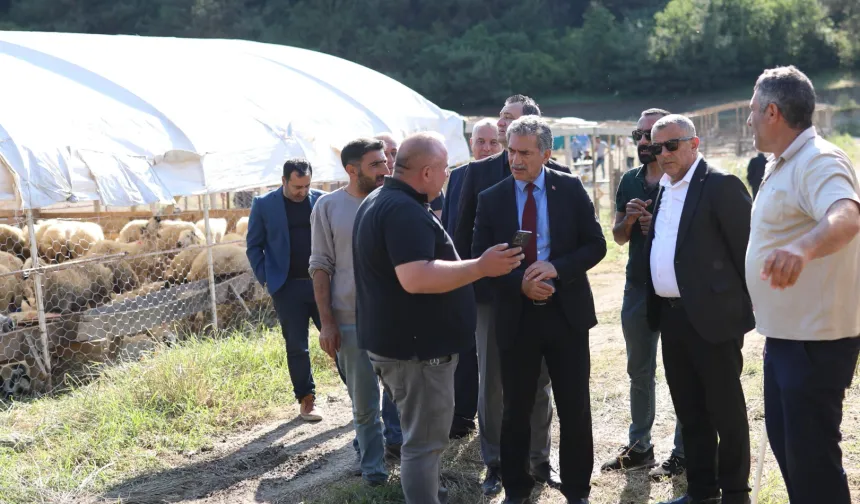 Bursa Gemlik'te Kurban Pazarı’nda satışlar başladı