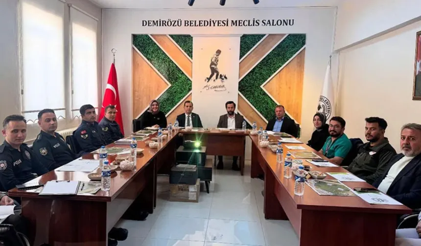 Demirözü’nde ilk kez ‘Kuşburnu Çiçeği Festivali’ yapılacak