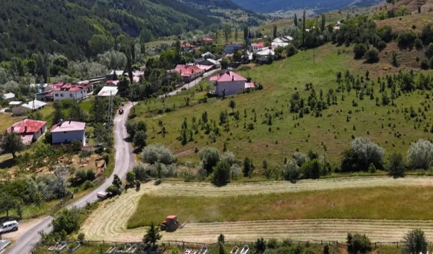 Ordu'da tarıma makine gücü