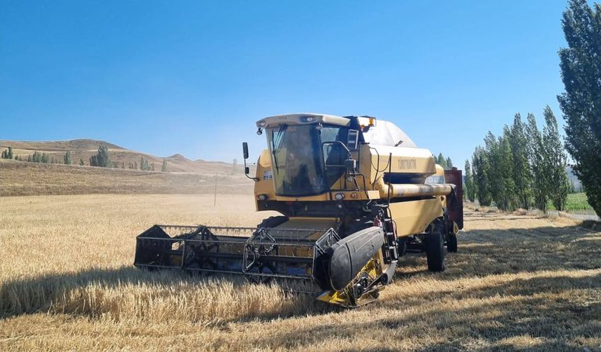 Bayburt'ta Hububat hasadında dane kaybı önleme mesaisi