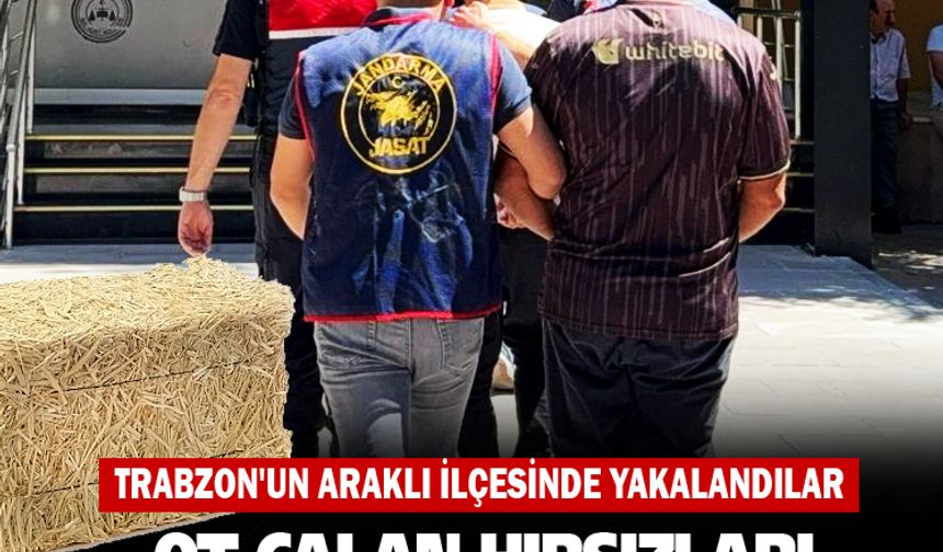Bayburt'tan ot çalan hırsızlar Araklı'da yakalandı!