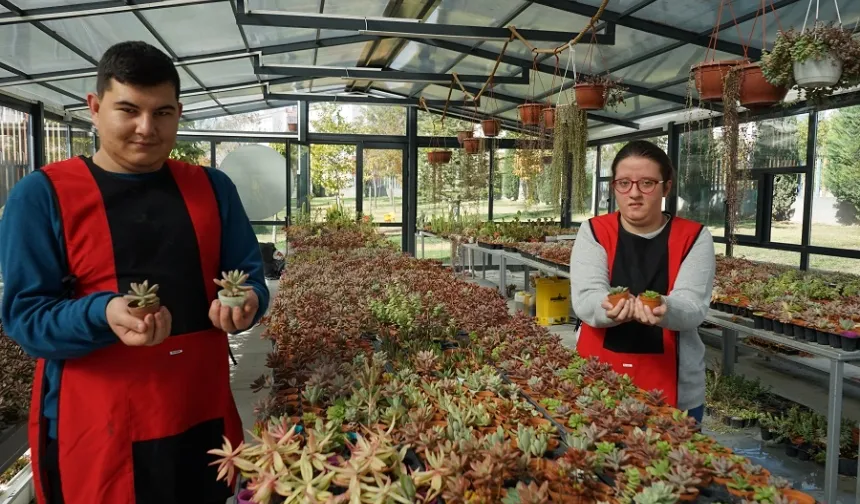 Konya Selçuklu'da otizmliler sukulentleri sevgiyle yetiştiriyor
