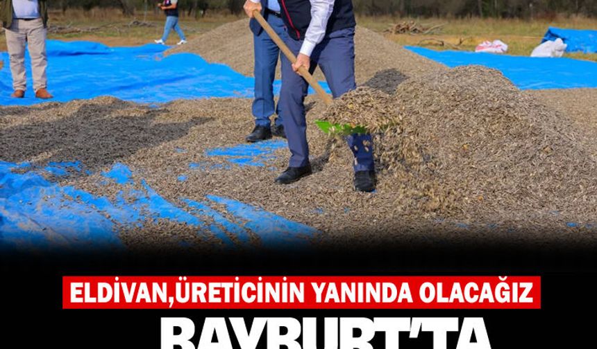Vali Eldivan, Sakızlı Köyü'nde gerçekleştirilen ayçiçeği hasadına katılım sağladı.