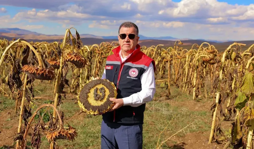 Vali Eldivan, Sakızlı Köyü'nde gerçekleştirilen ayçiçeği hasadına katılım sağladı.