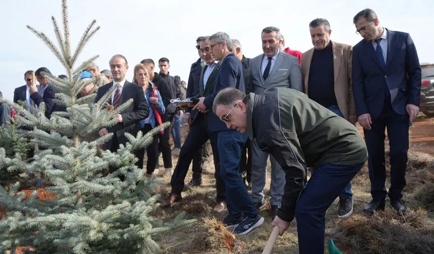 Bayburt’ta  4 Bin Dikensiz Kuşburnu Fidanı Dikildi