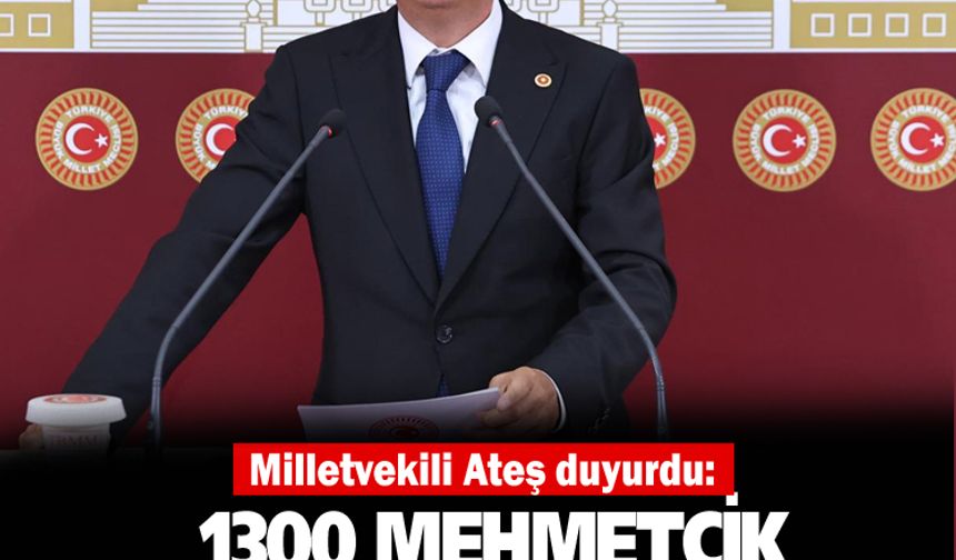1300 Mehmetçik Bayburt'ta göreve başladı