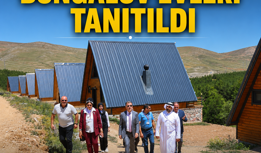 Aslandağı Bungalov Evleri Projesi Yabancı Heyete Tanıtıldı